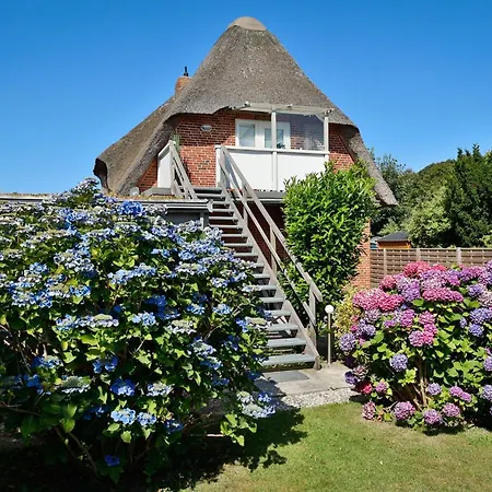Stranddistel